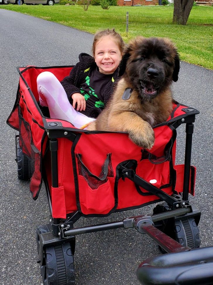 80159850d69661a899cdfae354