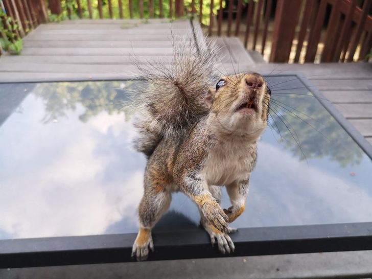 801ca05eeda3e6dca2c67aca33