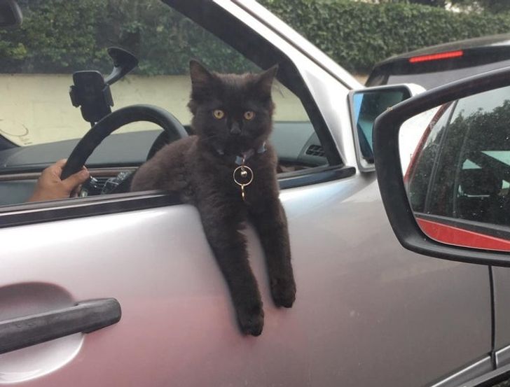 801cf75fd7a3b36fffe3390176