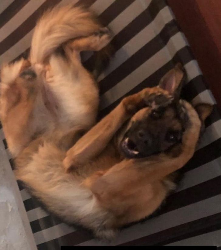 801d3059319ecac4e8380631c6