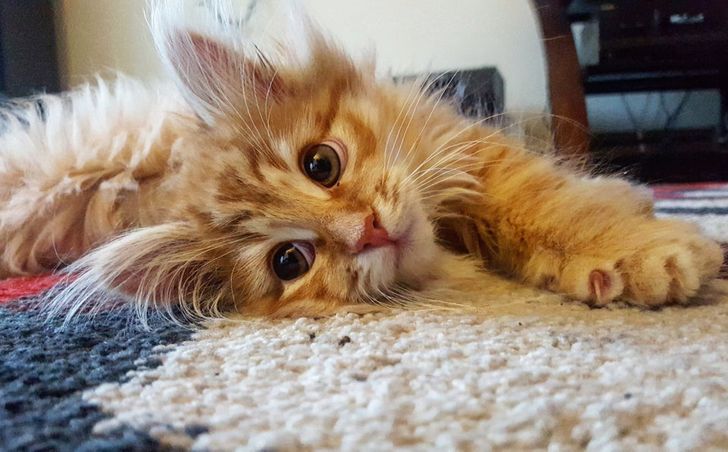 801ef05b0c8ad4dd6b3a3a9cf1