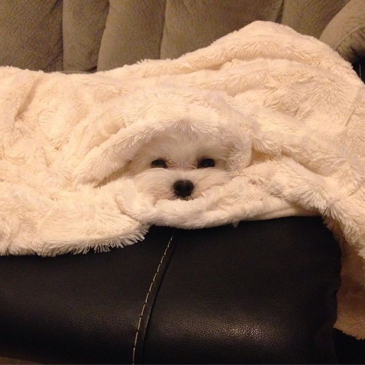 8022fa55419e361c6cd35440e7