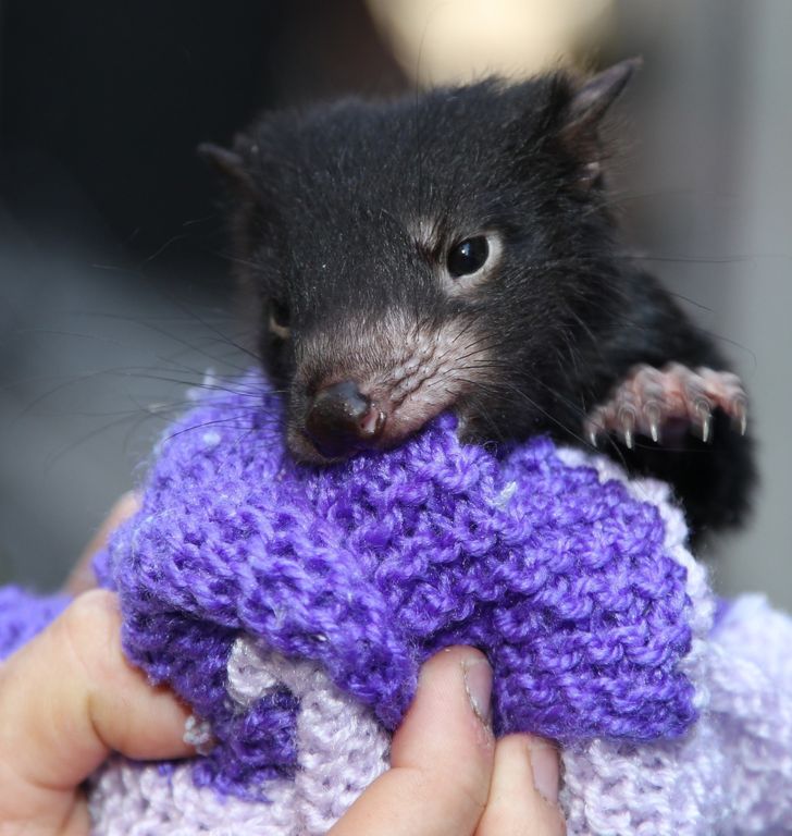 80275659a48bb406db874147a0