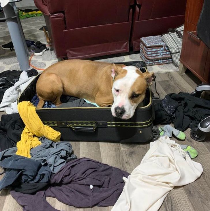 80290b5c73828ccbf2a2a8970b