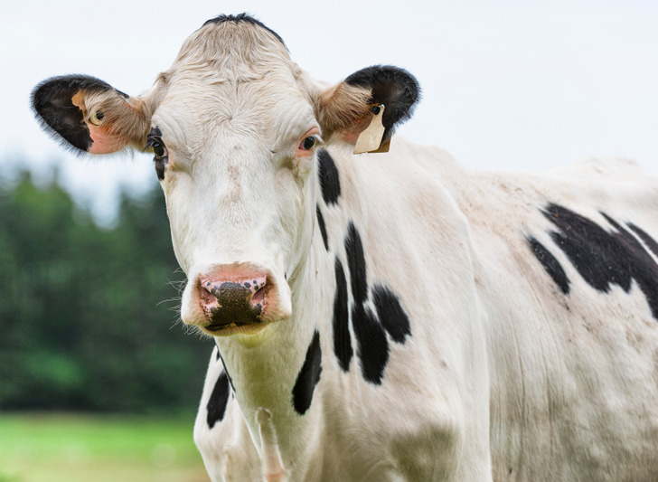 802b6250a08b6d95ddaa933306