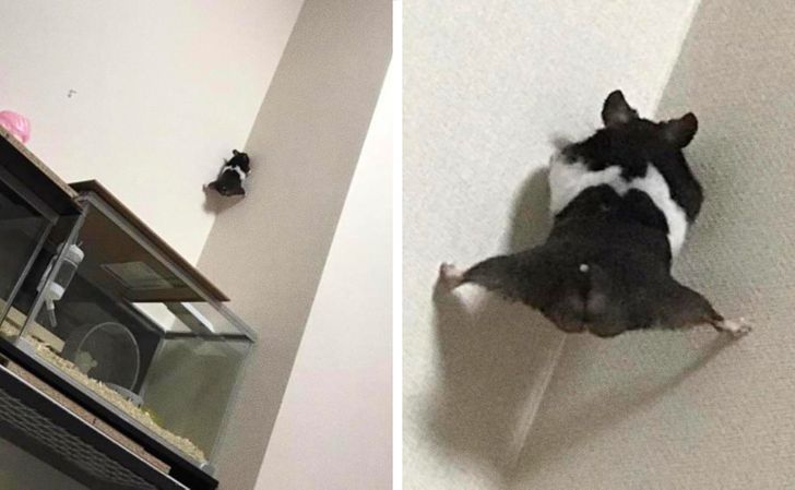 8046aa53ffa28243a73dfc465c