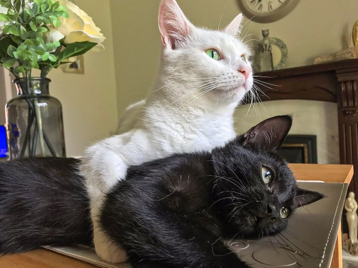 8048bc5f5bb0b875784146d93e 8048bc5f5bb0b875784146d93e