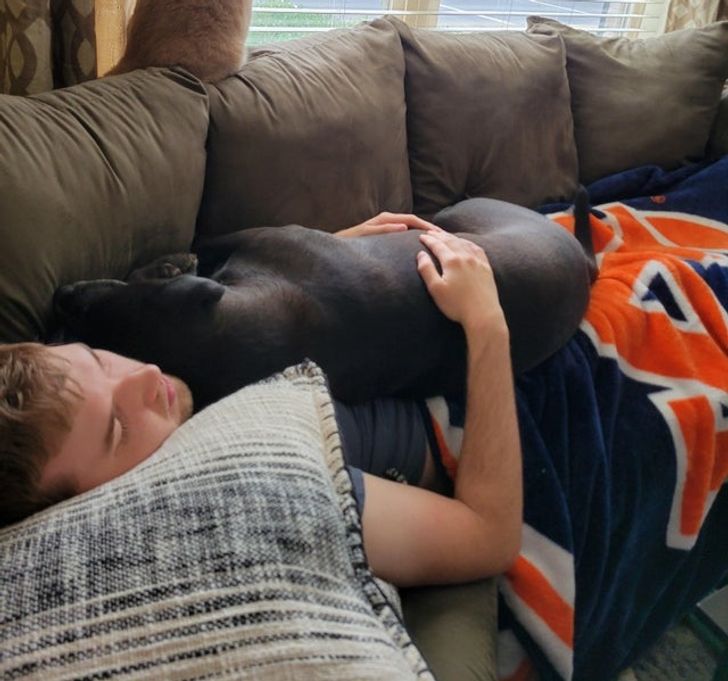 804bd45f20a423714bf99a1464