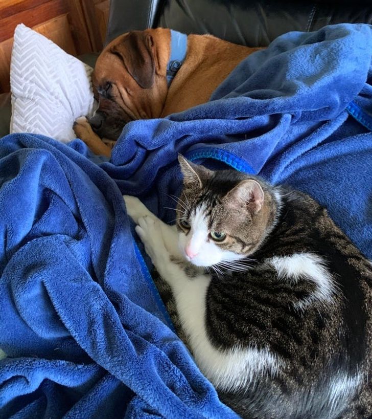 8050d754fba0df42fdbba005aa