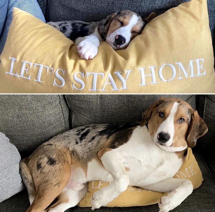 8053b95650851f5855afc5348d