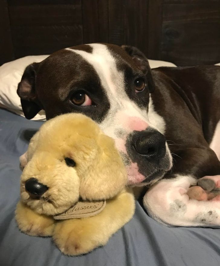 8056185280a4b3d569a7b45307