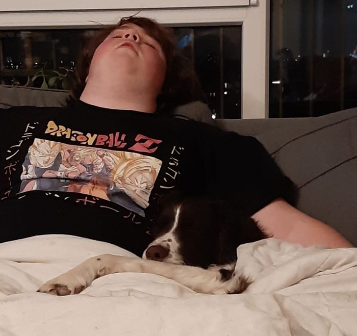 80585650f3b1495f7ea54611d2