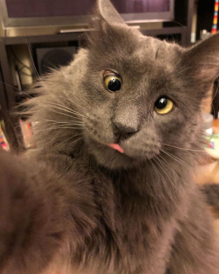 80668a5de29fad0a64ce31c504