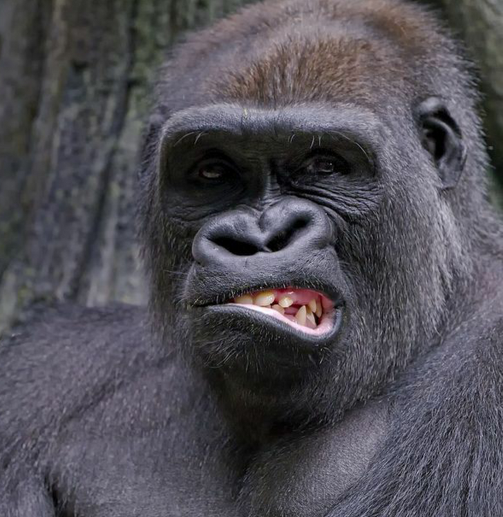 806aa3595785cb6d8e8606411c