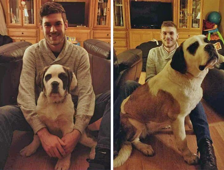 807075568fa2df19e3d41c3808