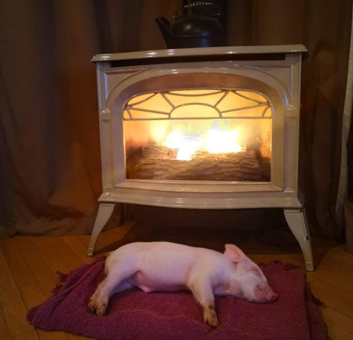 8075ad5918be84ade65682c4be