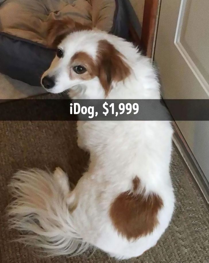 8077705231a0e1d0dc104d1bca