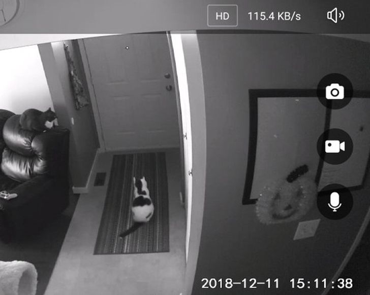 807d155b3d94ef410a61e9f4b9