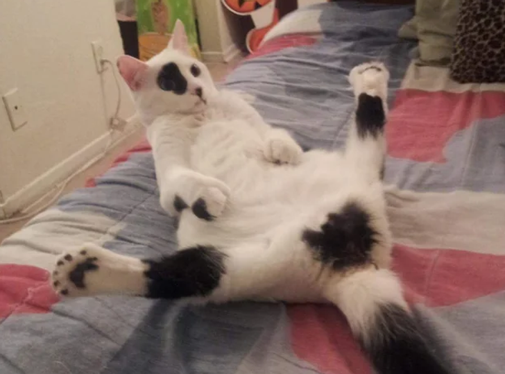 80869c54479a3e760ee49b3d5b