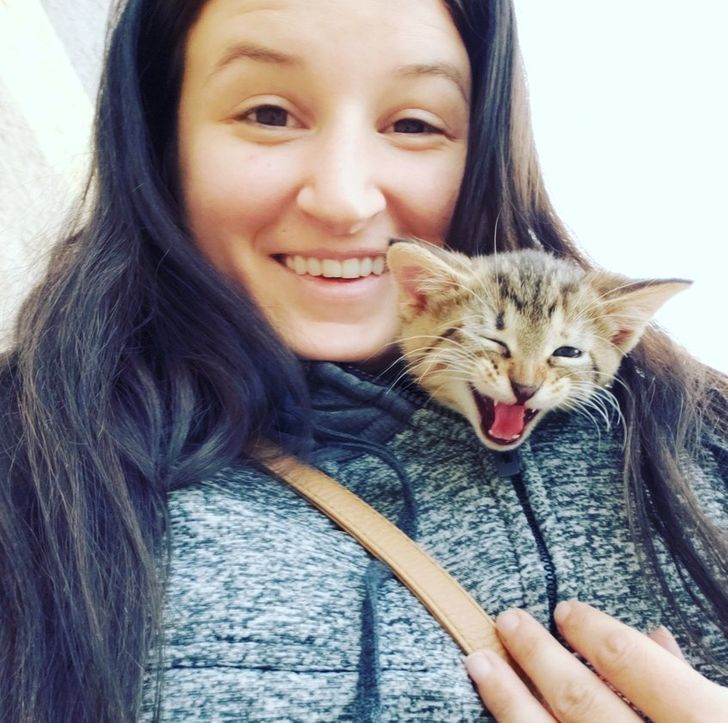 8088795e878c7557c2a0cf357c