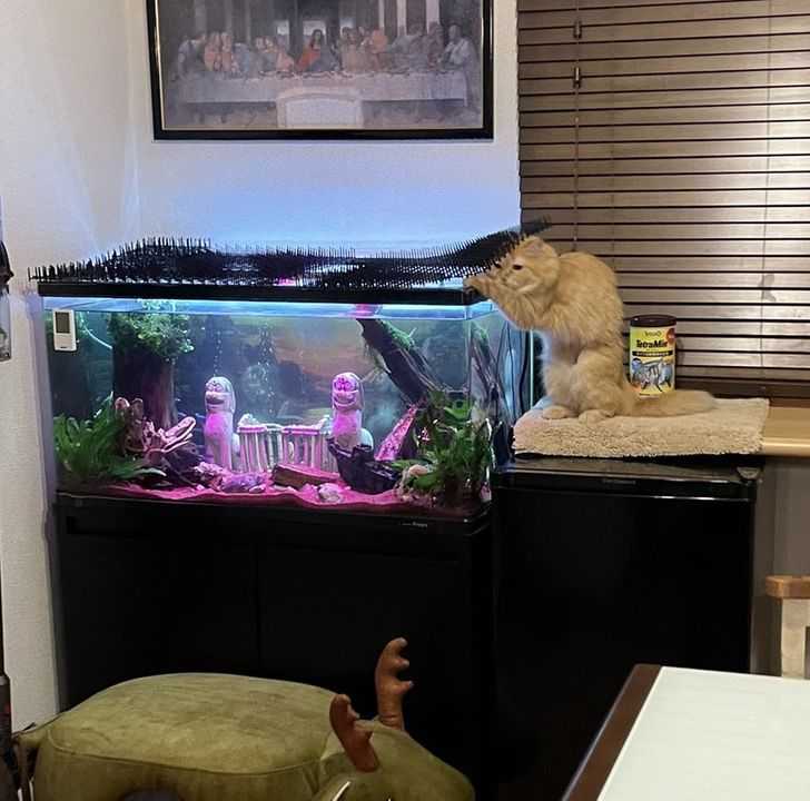 8088e354eb8667f9767692c219