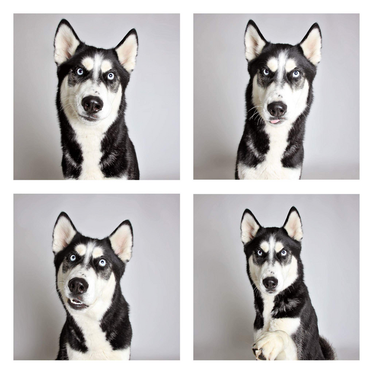 808ba45326864f0e827055a496