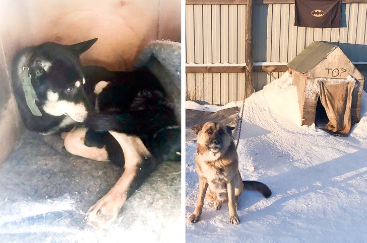 808d105a0c968fd288bcab1d25