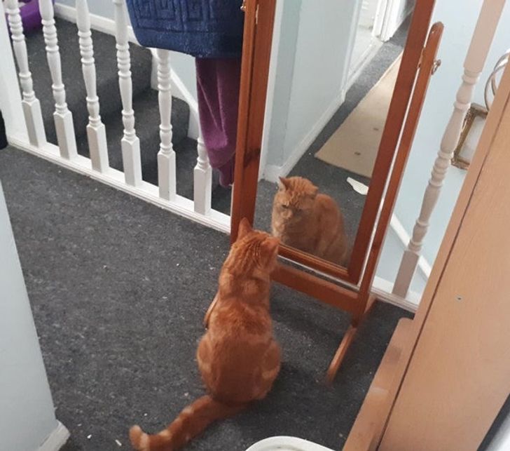 80910156d3a8dcfdccbd7dc29c