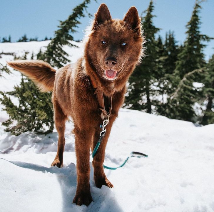 8095825a89948511d2f8958fd1