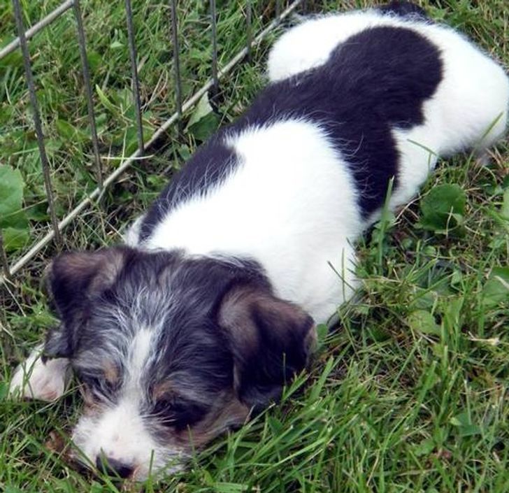 809b1550c29db6d92db129822b