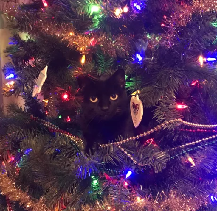 80a07d5af5800b1160e4e033cf