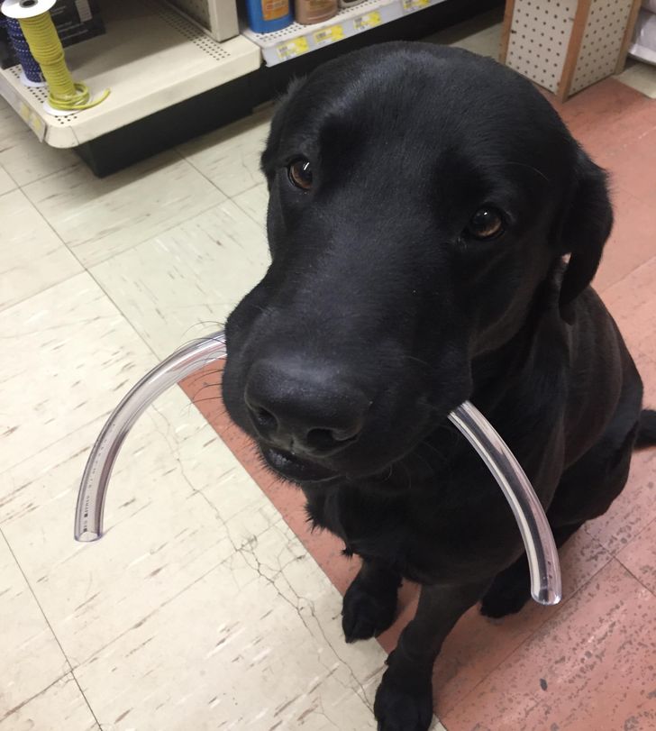 80af85526dbf82bf5738ed1d9c