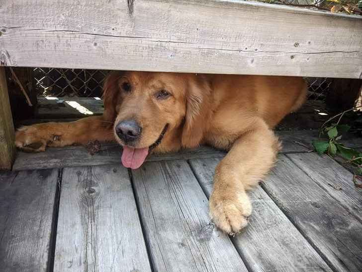 80ce6e5a0c88648b984d90e61d