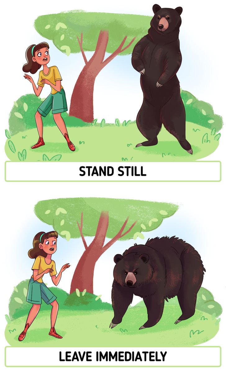 80d7c85ff9825cec5054ae02ba