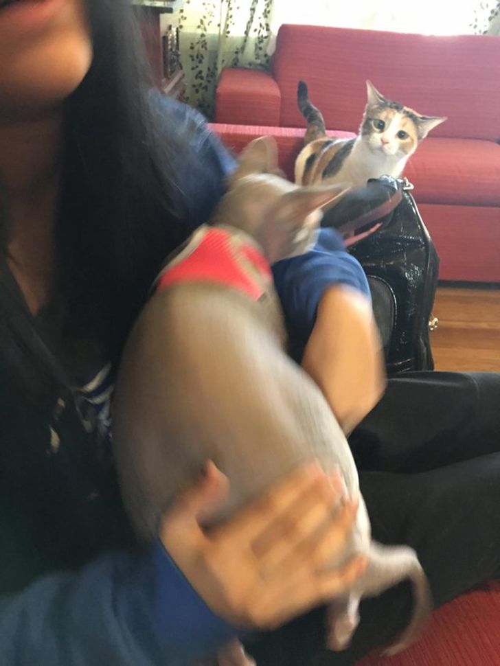 80dc0854218c3c39b0493bdb4c 80dc0854218c3c39b0493bdb4c