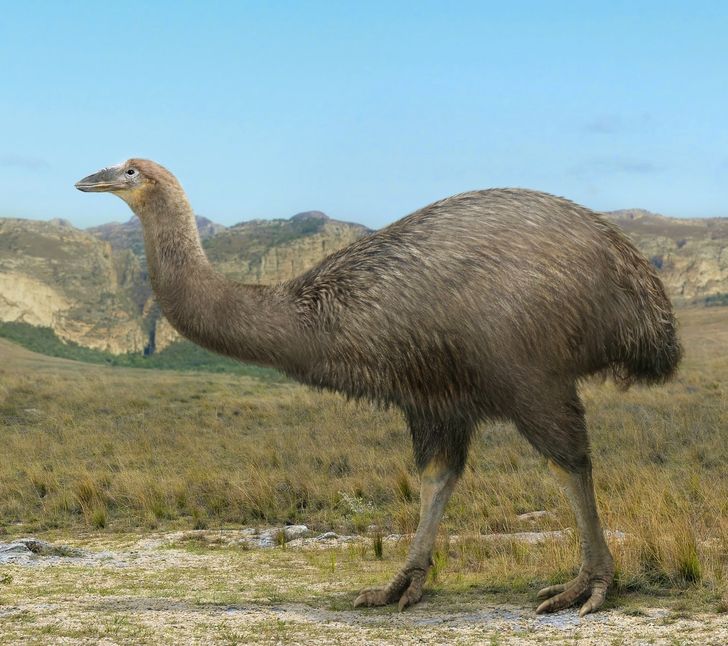 80de935d2e98dcdd1f365490da