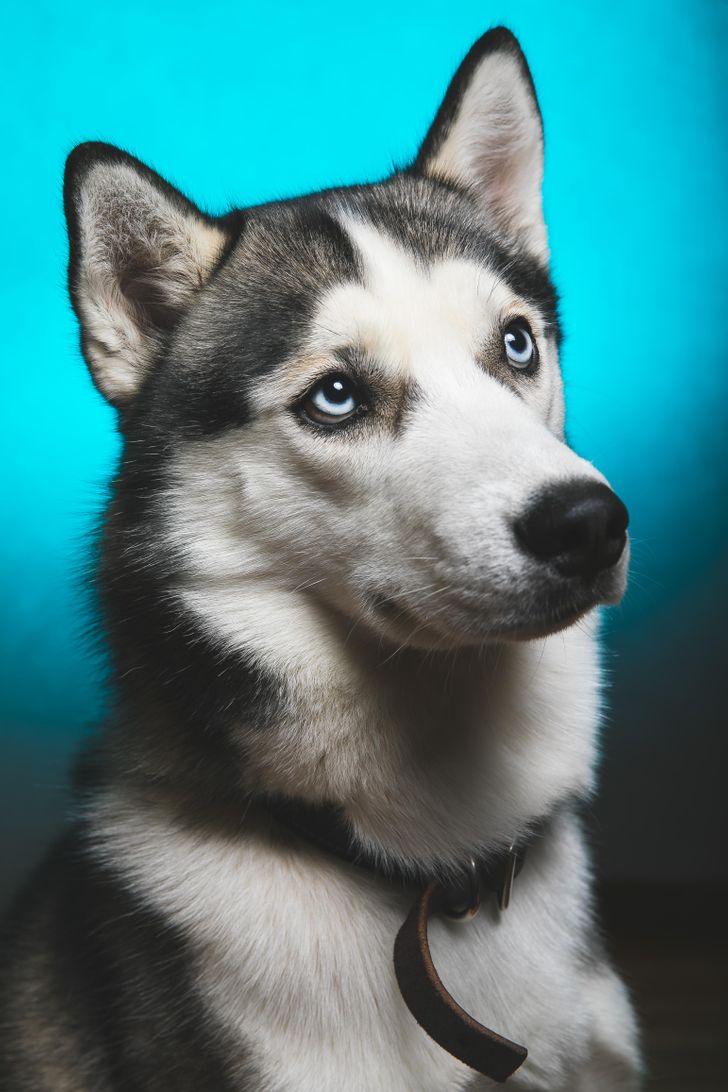 80e28d58f4912fc2881f98cc05