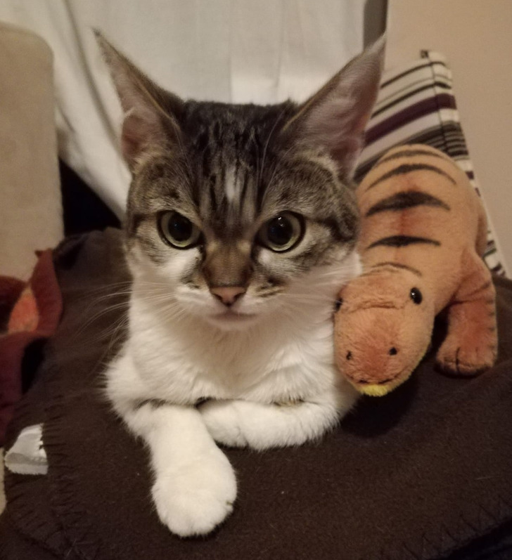 80f0f15be0ba721a63623339ef