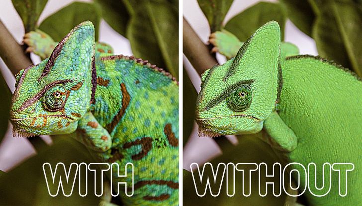 80f48052e1929343844ddbc5c0