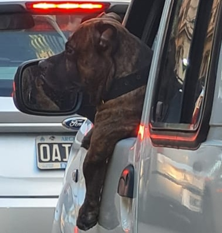 80f5085df5986a47aed3132d3e