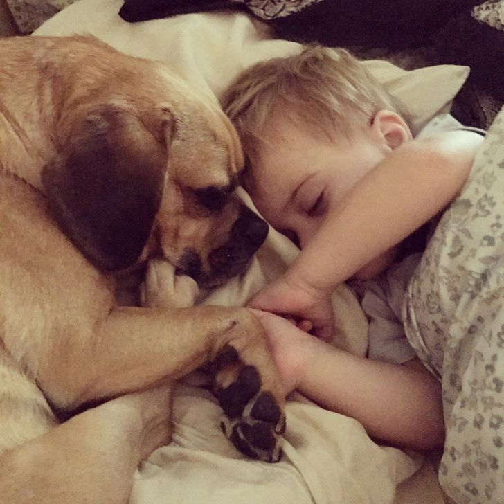 80fc915948976676d1bedad03c