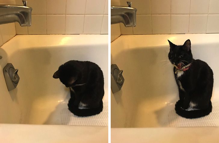 8109bf534e853878768e22ef95