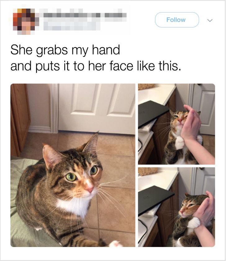 810d915ae8b03e3cdb7c0fa715 810d915ae8b03e3cdb7c0fa715