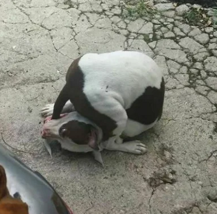 810e035a3abaac290e62c52578