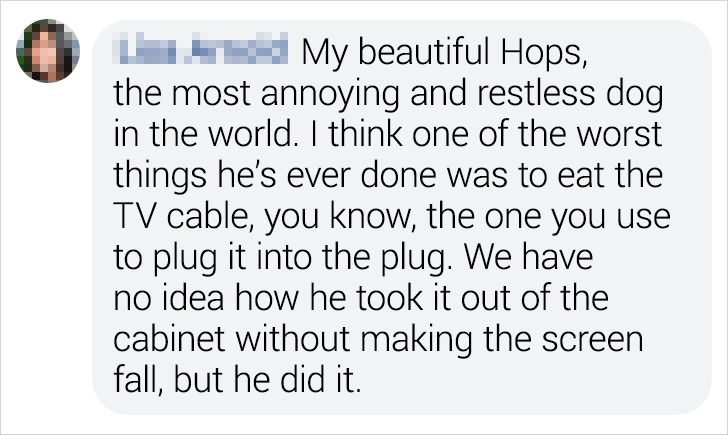 8114ca53f0aaaa81b1637f95bf