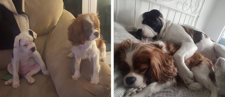 8115ab5fad8c7f5a5ff1bdb9dc