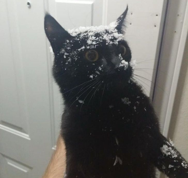 811ad957eea7c730c03236531f