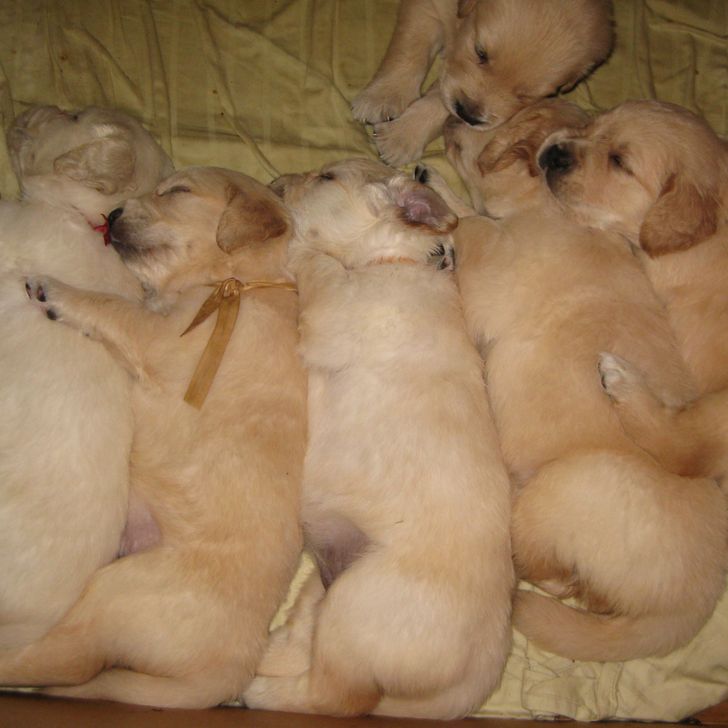 811cb4558f88db30b03579e2f0 811cb4558f88db30b03579e2f0