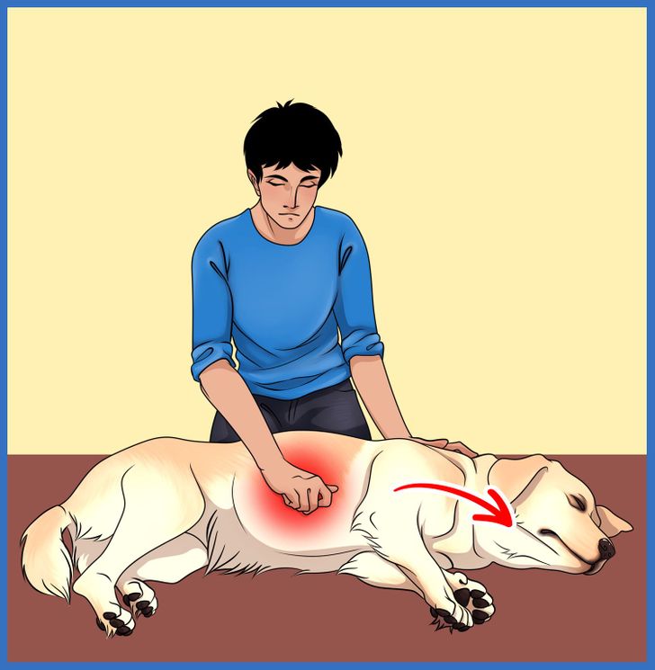 811d495b3ead96d0aa52272d10