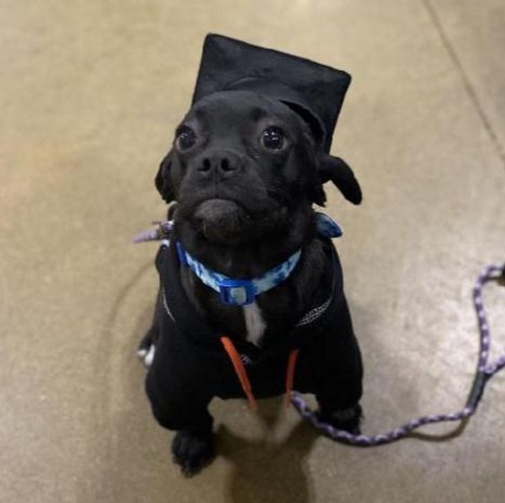 8126535e17b440f79a4089c284